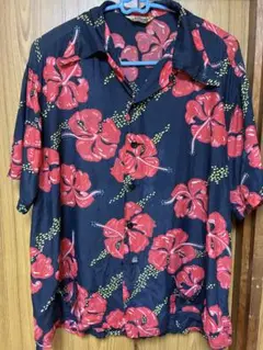 Item thumbnail for item 0633458e-92d7-467f-ad62-37d8951873d0