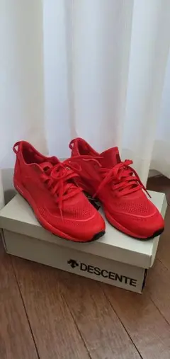 DESCENTE　running　shoes　(デサント　ランニングシューズ)