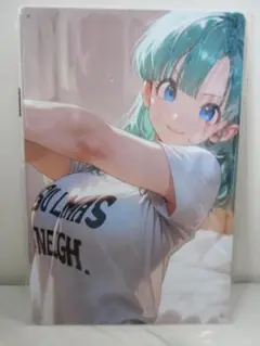 ドラゴンボール-/BULMA④【ブリキ看板／メタルサイン】