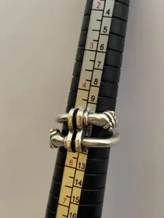 スティーブンデュエック スネイク リング 9号