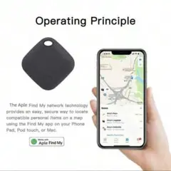 Item thumbnail for item 8d491adf-eb2e-4cc3-a036-2b536ae754e1