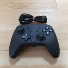 黒 有線コントローラー Nintendo Switch