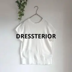DRESSTERIOR ドレステリア リネンコットン裏毛プルオーバー 38