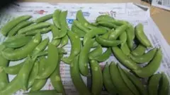 スナップエンドウ 500g