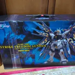 2024年最新】PG 1/60 ZGMF-X20A ストライクフリーダムガンダム (機動 2024年最新】PG 1/60 ZGMF-X20A ストライクフリーダムガンダム (機動