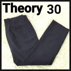 【近年モデル】セオリー　クレープスラックス　大文字タグ　大きいサイズ30