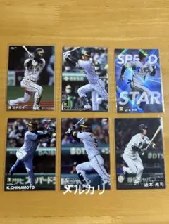 Item thumbnail for item 4b398fc0-2ed5-45bc-bfe7-4680f039889d