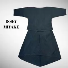 希少 イッセイミヤケ プリーツ セットアップ 変形