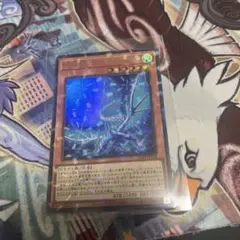 遊戯王 セレグレア