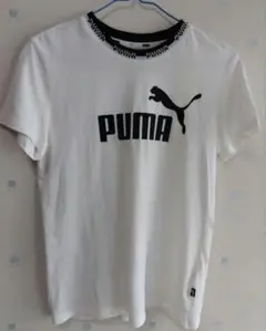 処分　プーマ　Tシャツ　レディース　Mサイズ ホワイト