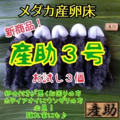 新商品!メダカ産卵床10㎝★産助(さんすけ)3号3★ ※組立不要!金魚にも