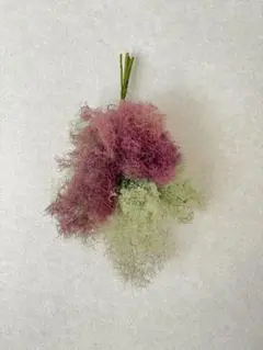 ①スモークツリー　スワッグ