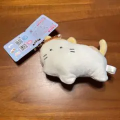 つぶらな瞳　犬と猫　マンチカン
