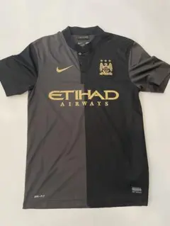 Item thumbnail for item 8f1b34e7-d3fa-4b40-92b5-5d4b317f579b