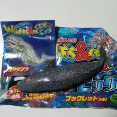 くじら＆co.ビック　④コククジラ
