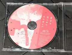 星空を見つめたそのあとで ドラマCD
