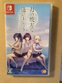 月の彼方で逢いましょう Nintendo Switch
