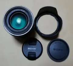 Item thumbnail for item 44d16fcf-685a-417b-a220-899234767e19