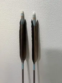 天然羽根のアルミ矢 2本セット