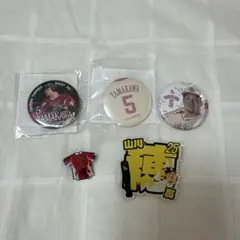 山川穂高 缶バッジ ピンバッジ アクリルネームバッジ セット