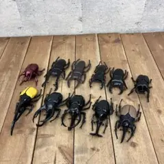 カブトムシ クワガタ 昆虫 リアル フィギュア 11体 まとめ売り おもちゃ