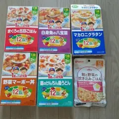1歳からの幼児食10食セット　離乳食　ベビーフード