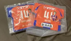 アルビレックス新潟　長谷川元希　クッション