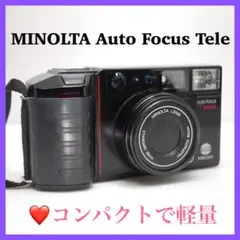 Item thumbnail for item 4475c793-71fe-4a0c-92d1-62cb7eefc79c