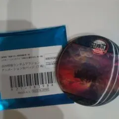 鬼滅の刃 無限城編 水の呼吸ランダムアクションアニメーション缶バッジ 冨岡義勇F