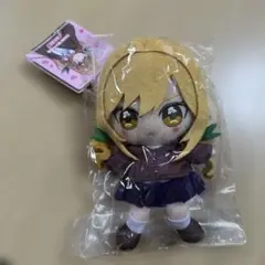新品、未使用　君のことが大大大大大好き　10０人彼女