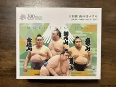 大相撲　山の日パズル　300ピース　朝乃山　金峰山　豪ノ山　碧山