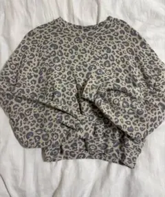 【秋服】ZARA ヒョウ柄スウェット　ショート丈