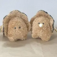 【匿名発送】つぶらな瞳のなまがき かきふらい よちよち たんけん　ばぶ　2種類