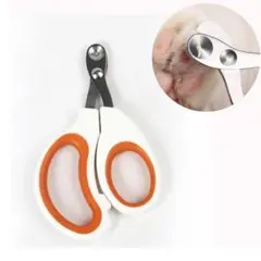 Item thumbnail for item f0f82754-a9ef-4d77-a68c-3f7a871cf533