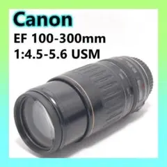 Item thumbnail for item b165ef1a-9f8c-4709-b9a9-eada8daaf964