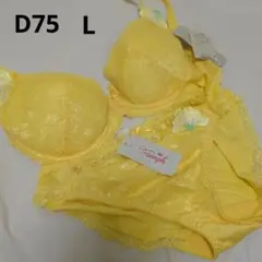 Item thumbnail for item 1fa6bcdd-c243-4219-aa3f-e69eac3fe33d