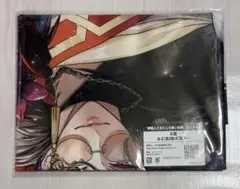 アオのハコ 鹿野千夏 ポスター 特大布ポスター くじ引き堂 S賞