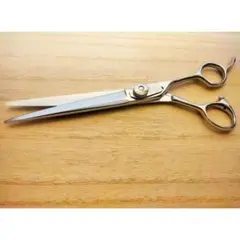 Item thumbnail for item 9fe24801-ef3a-472b-94e1-e42450f6acb0