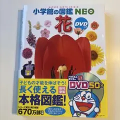 小学館の図鑑 NEO 花 DVD付き