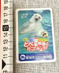 しろくまピース　とべ動物園　マグネット