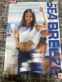 2025年最新】安室奈美恵 ポスター シーブリーズの人気アイテム