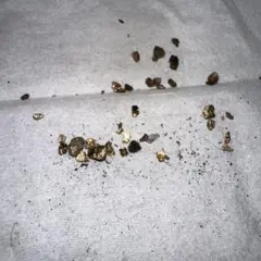 Item thumbnail for item 3ab5ca3e-c647-4b46-bf47-53e4db65803a