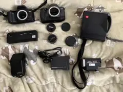 Item thumbnail for item e61e8716-f8a8-403e-b595-c180d14204bf