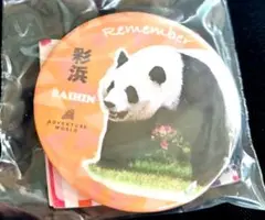 アドベンチャーワールド パンダ 彩浜 ランダム缶バッチ