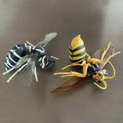 生き物図鑑 スズメバチフィギュア