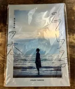 そらるの本