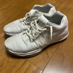 air jordan 31 low
