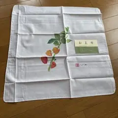 Item thumbnail for item 1e536760-088e-4d01-8bc9-f6953bf291f8