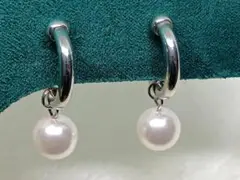 Item thumbnail for item 3df60229-68be-40d5-919a-4eff63104128