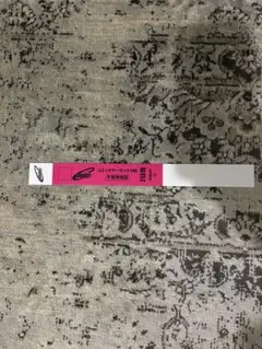 コミケ　106 午前　2日目